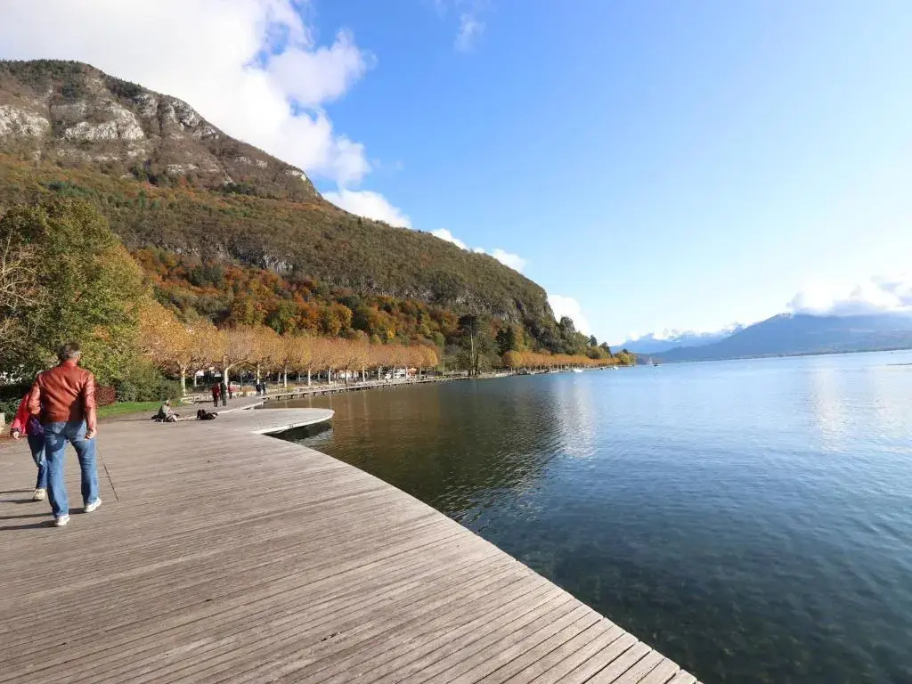 Appartement Annecy, 2 pièces, 4 personnes - FR-1-432-2