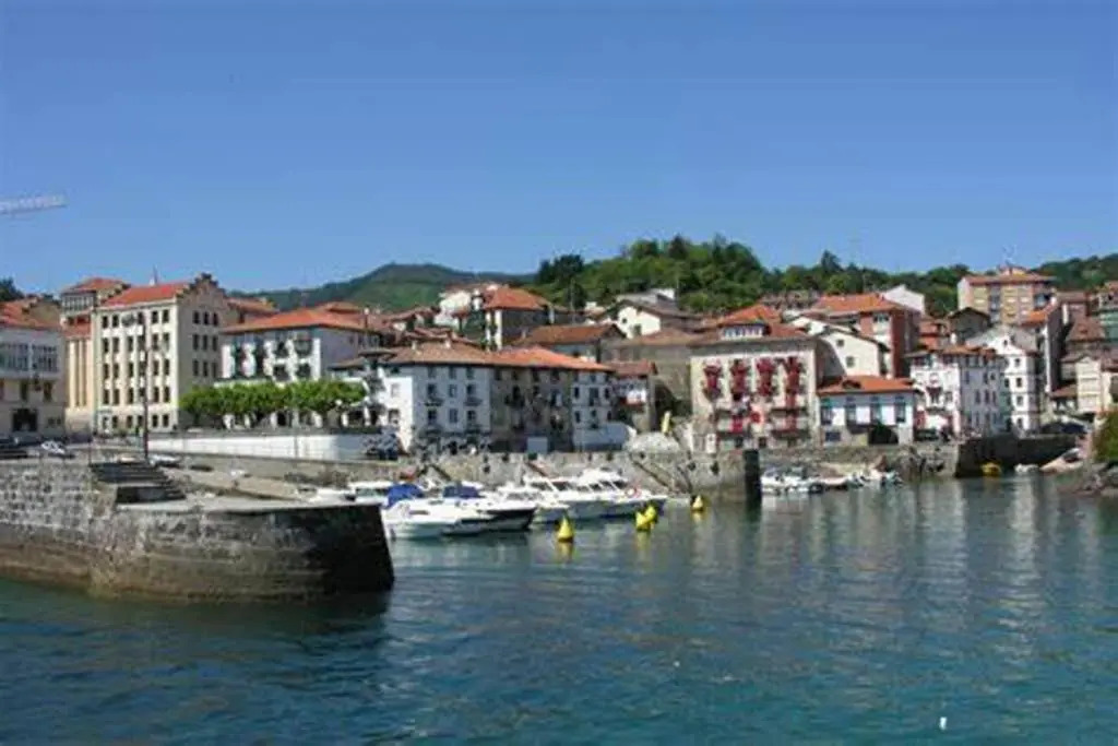 Sare Enea