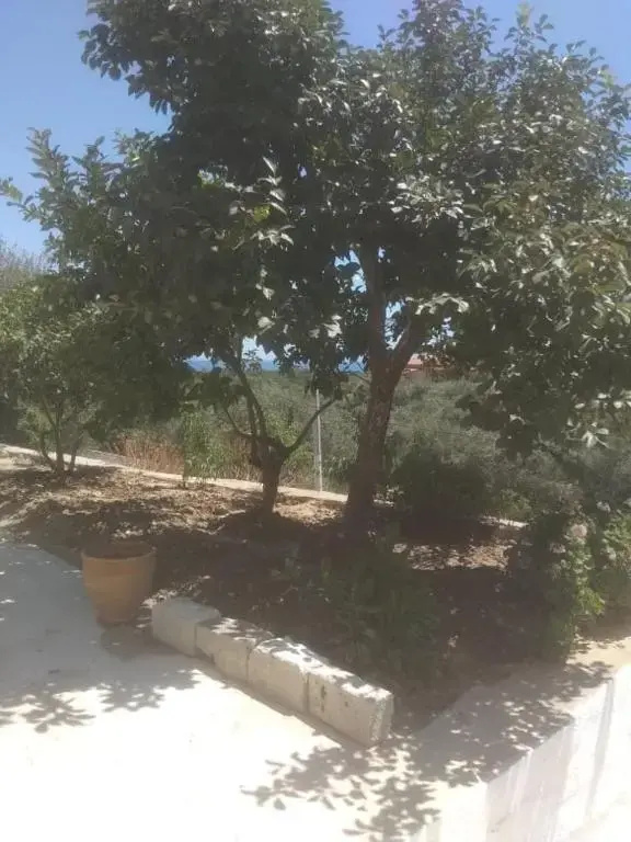 Vogklis House