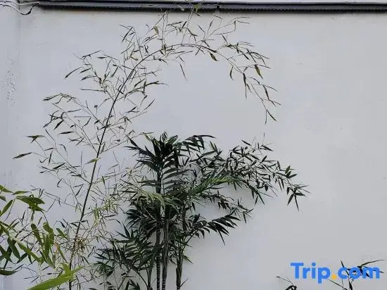 Wujianfang Courtyard Homestay (Guanghui Temple Branch, South Gate of Zhengding Ancient City)