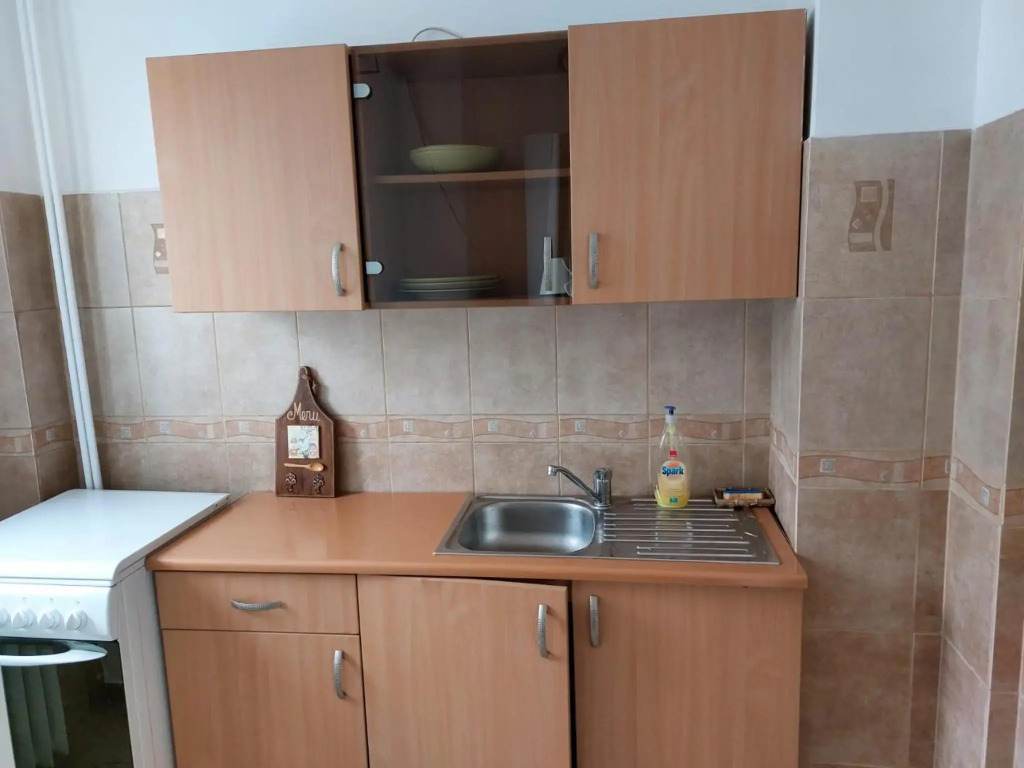 Piata Victoriei Arcul de Triumf Studio Apartment