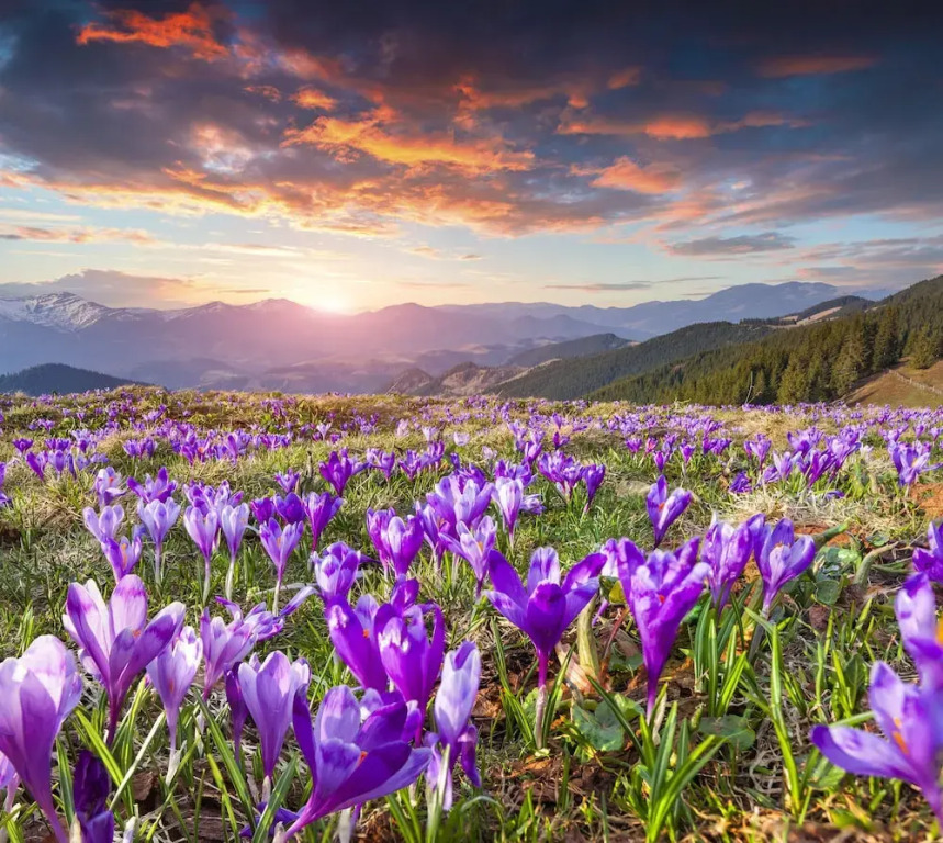 Osada Kościelisko - Tatry na Wyciągnięcie Ręki
