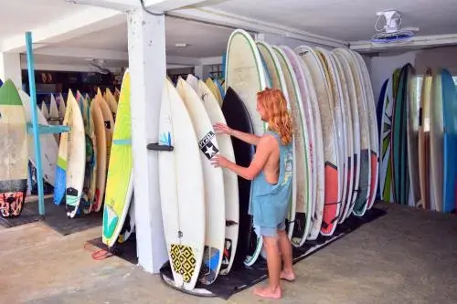 Cheeky Monkey Surf Camp