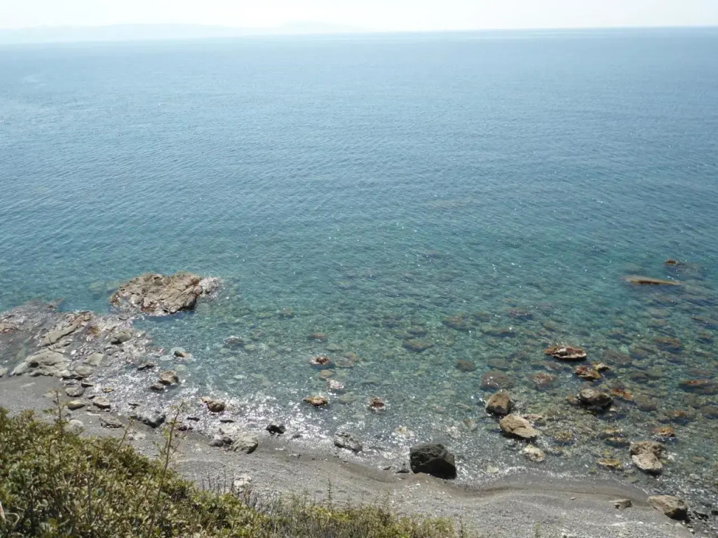 Nikos Place