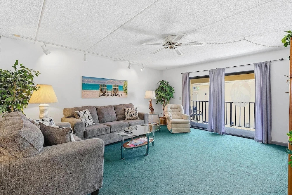 Oasis 18