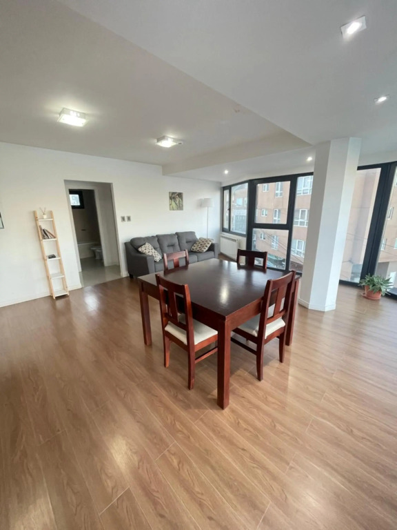 Entire apartment in Patagonia rebate in physical dollar