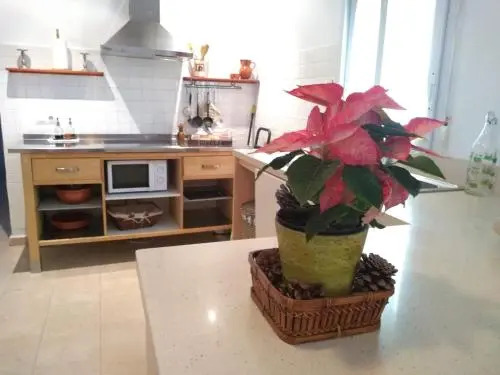 Apartamento San Agustín