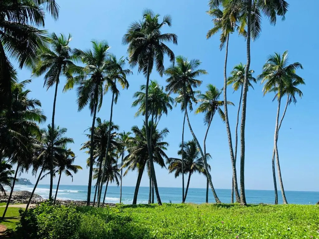 Maadathil Cottages & Beach Resort