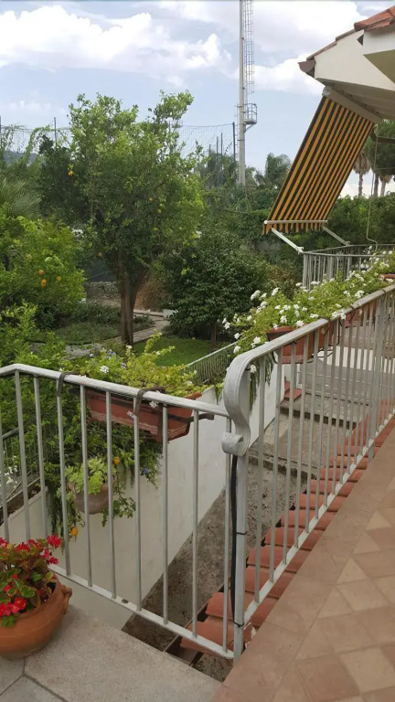 B&B Massico Apartments