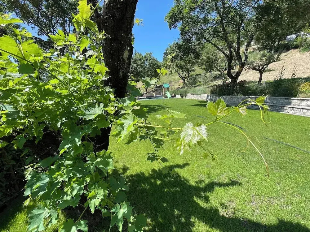 Spoleto Splash : Casetta/slps 4/5 Wifi/dishwasher - Beautiful Private Garden