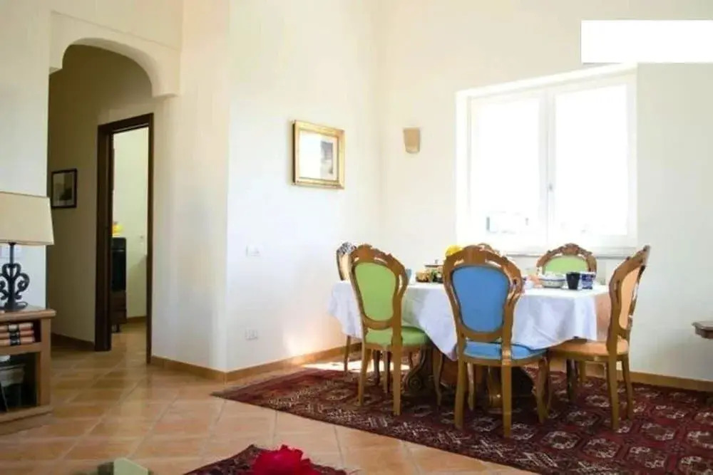 Gli olivi