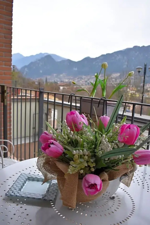 B&B Tulipano