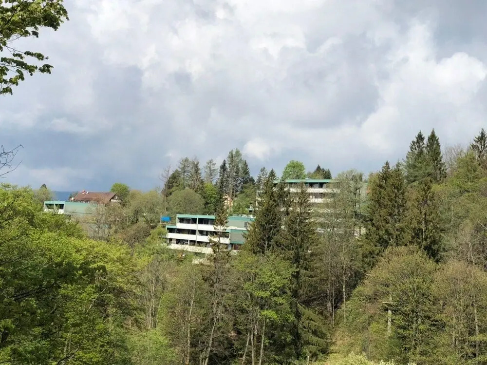 Apartment Harzblick