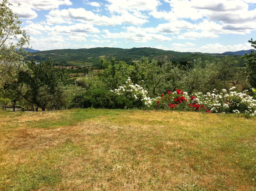 Poggio Agli Ulivi