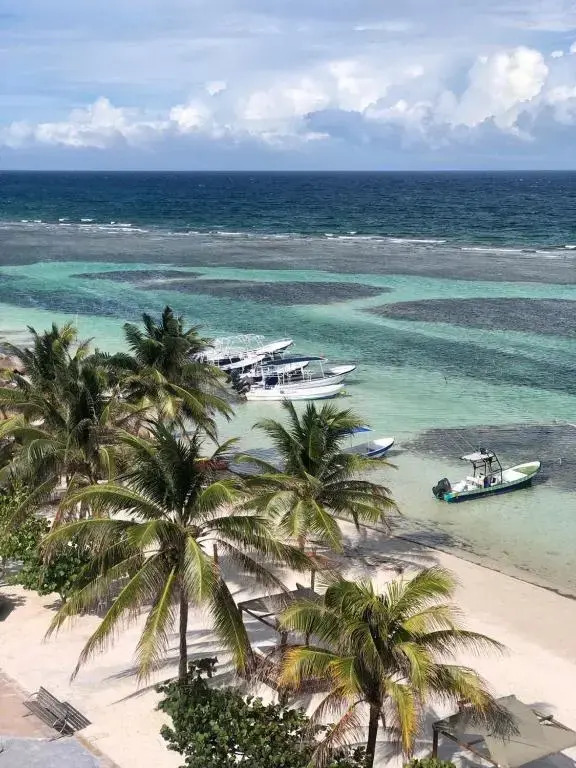 Hotel Blue reef con alberca & frente al mar