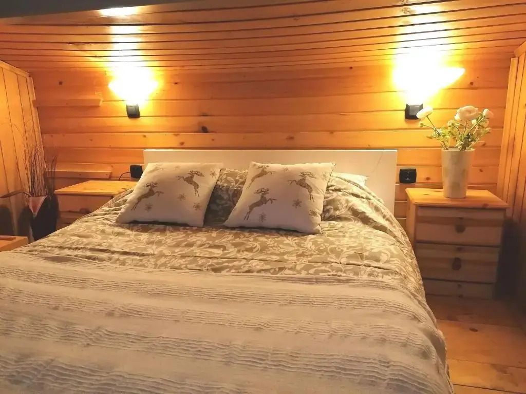 Vila 51 Kopaonik Centar