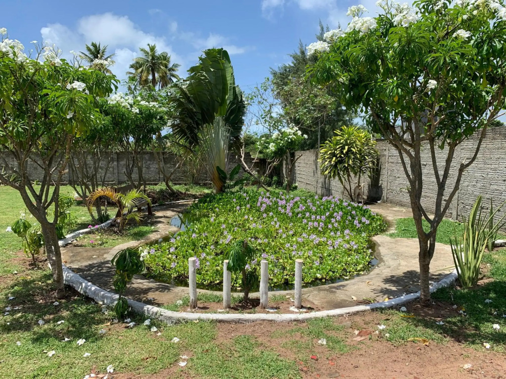 Sítio Vila das Flores