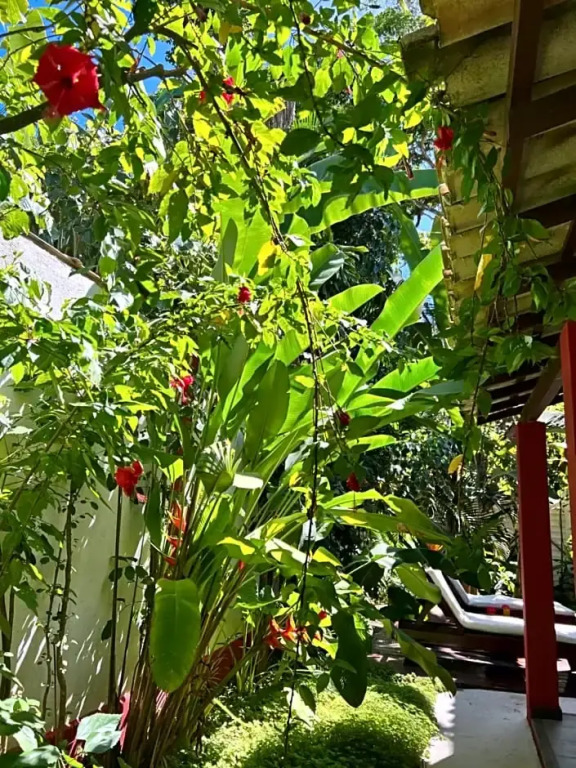 Casa da Beatriz