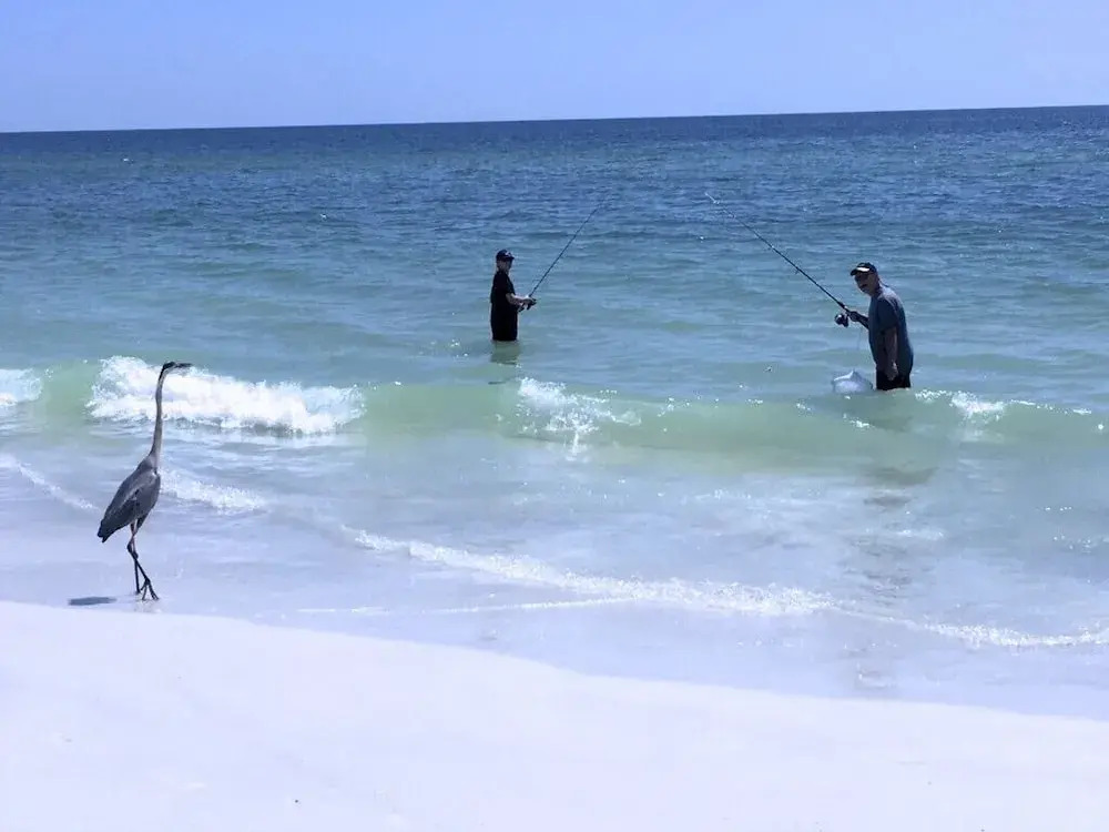 The Anna Maria Island Beach Castaway 2