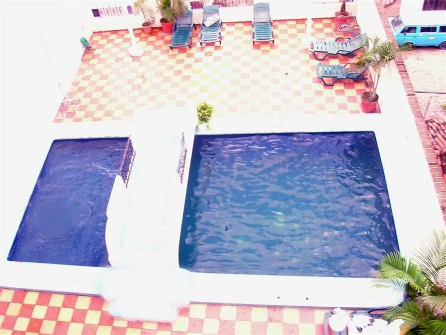 Paloma del Mar