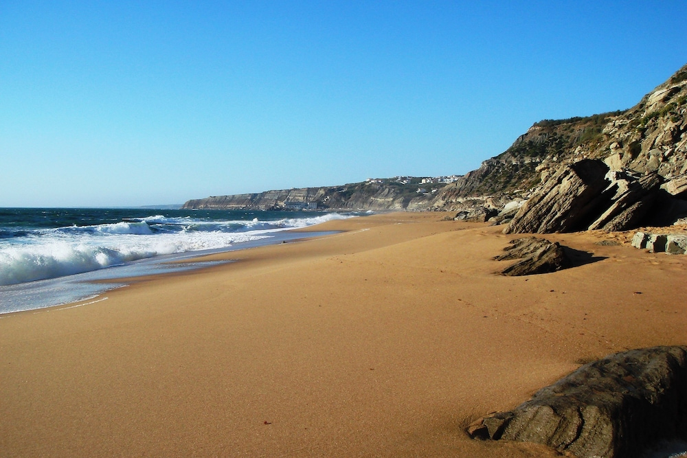Campo de Oleandros