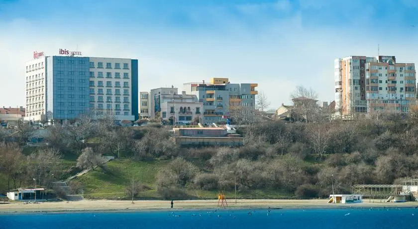 Ibis Constanta