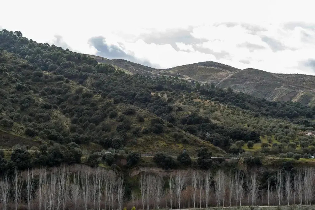 Cenes de la Vega 15 minutos Granada centro