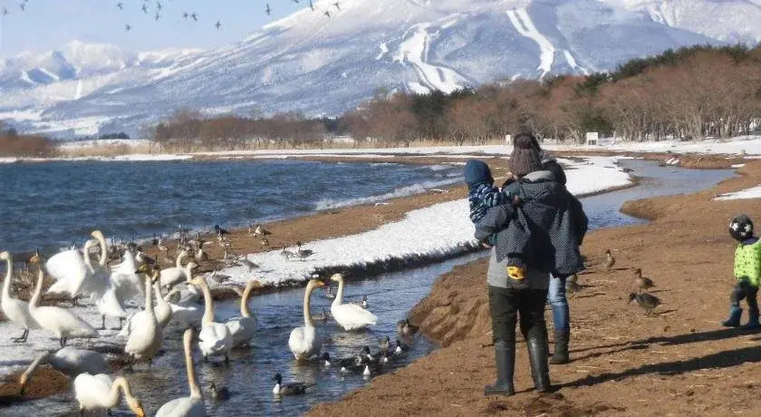 Lakeside Banko
