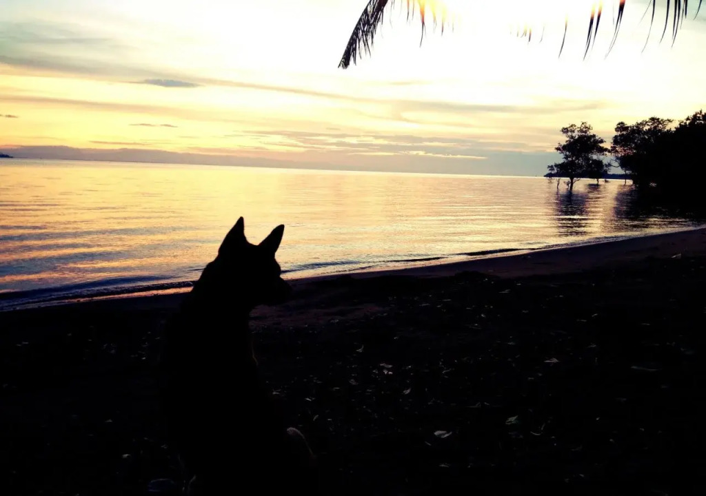 Blessed Koh Chang