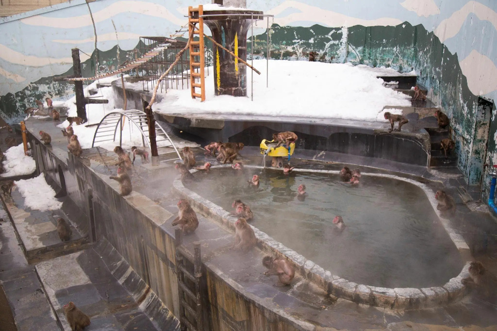 Yunokawa Onsen KKR Hakodate