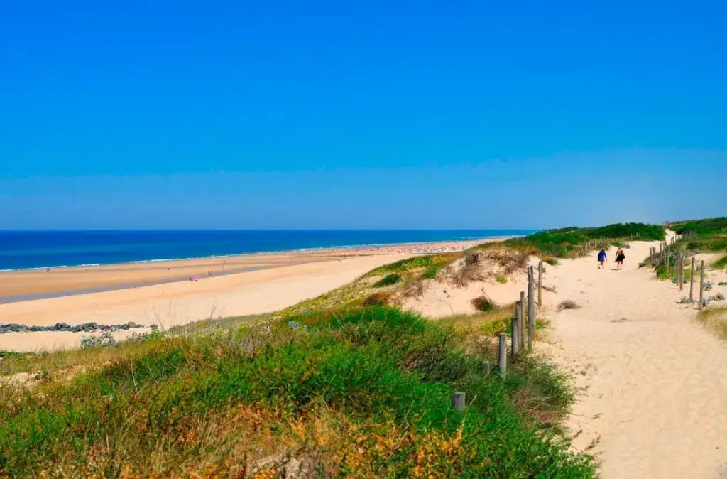 Réf 554 ,Seignosse océan, joli Studio Vue Mer classé 3 étoiles , proche plage et centre, 2 personnes