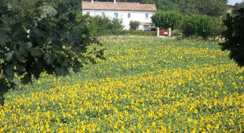 B&B Casale Vega