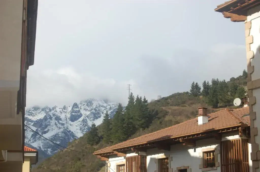 Apartamentos Arha