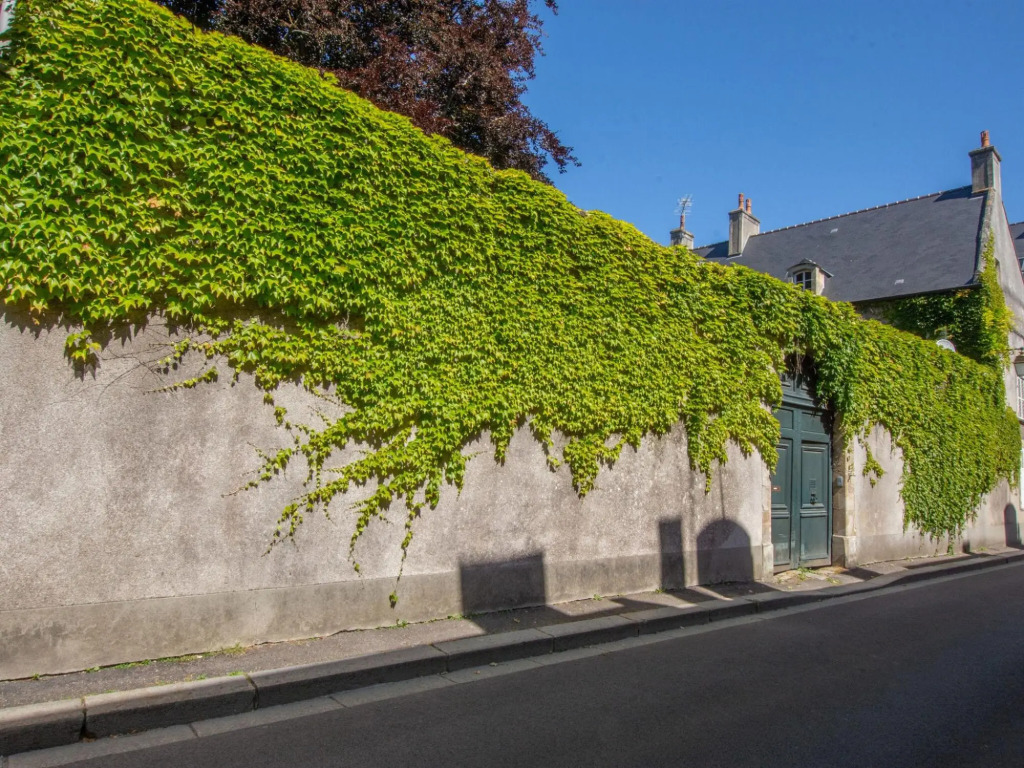 Beautiful apartment in the historic center of Bayeux