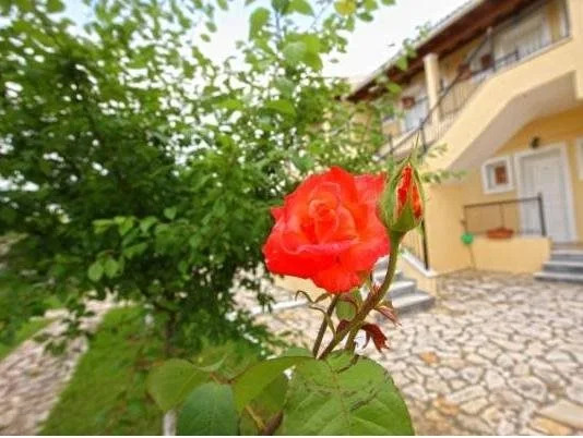Zefiros Apartments