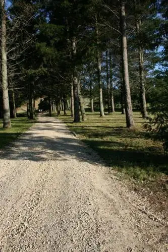 Savana Estate