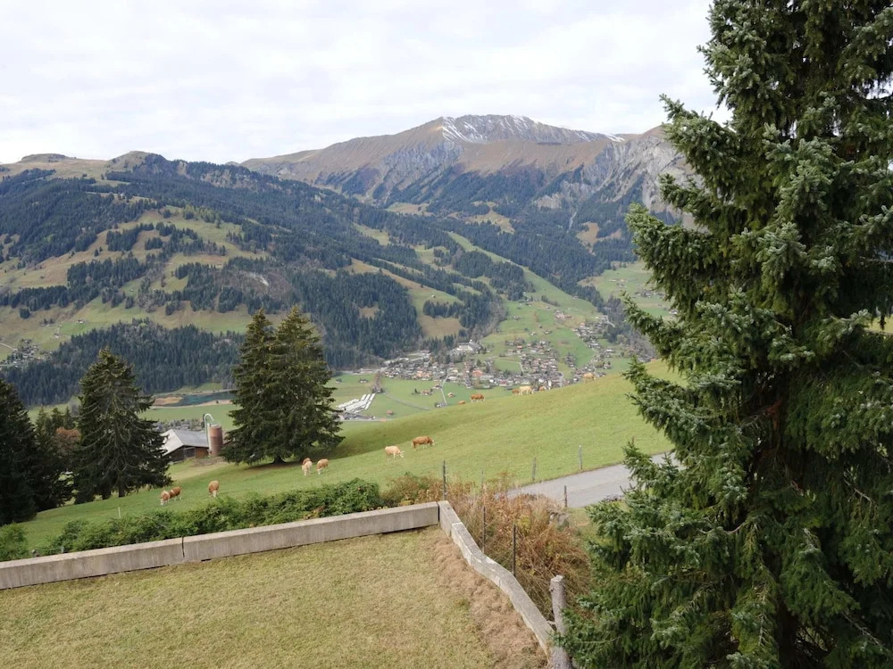 Chalet in Lenk Near Simmen Falls