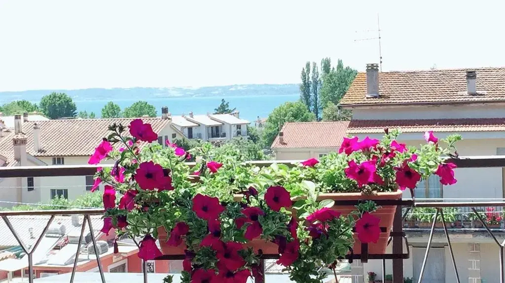 Pepè Apartment -Lago di Bracciano