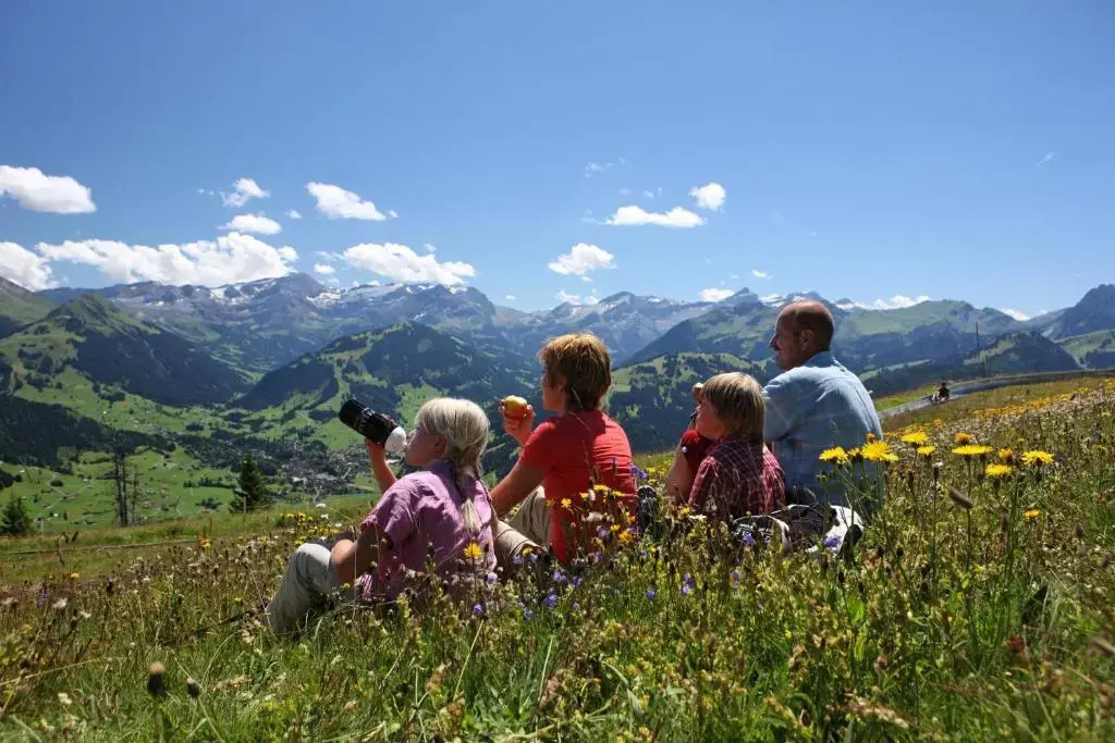 Hotel Spitzhorn Superieur
