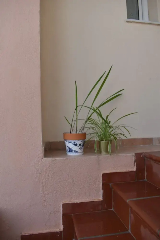 Kripis House