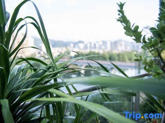 Jiangpan No.1 Starry 180° Ultra-Front Riverside View Luxury Resort Homestay (Libo Ancient Town)