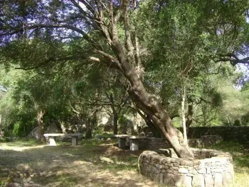 L Incantu
