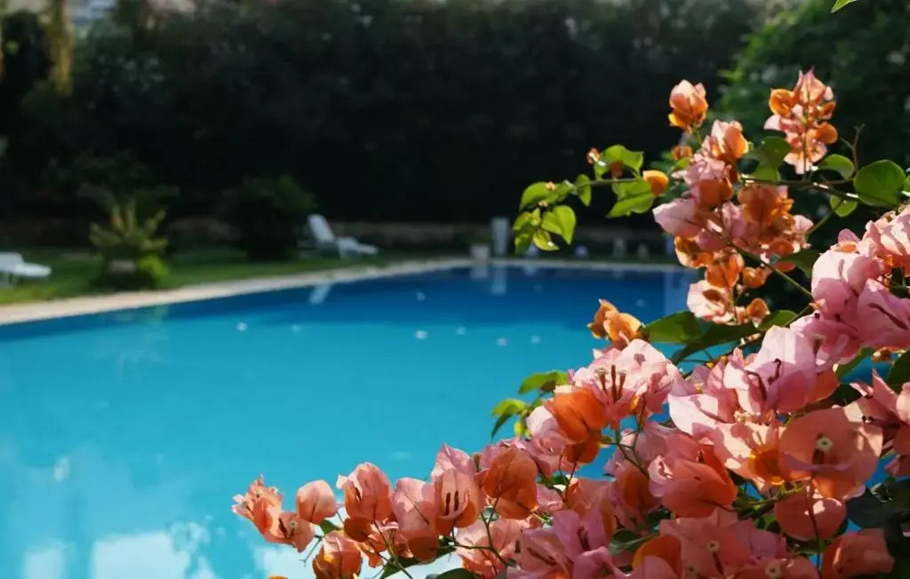 Villa Megna - Green Paradise B&B
