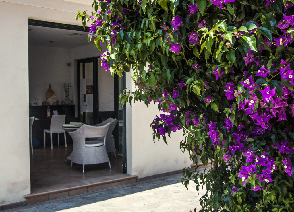 Residence Oliveto a Mare