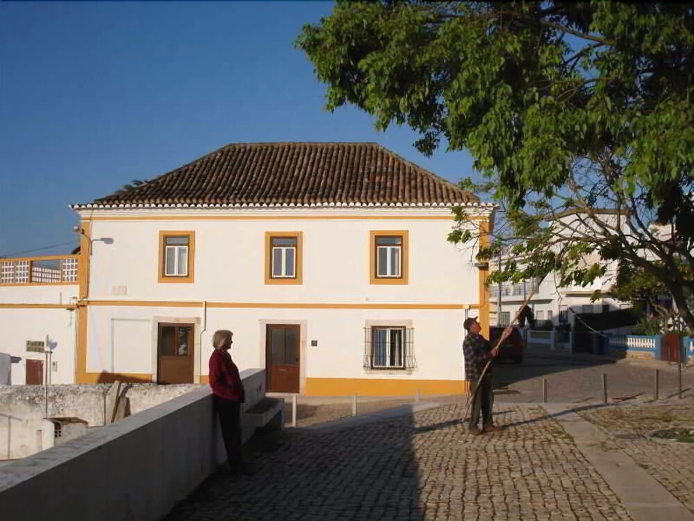 Casa Da Palmeirinha