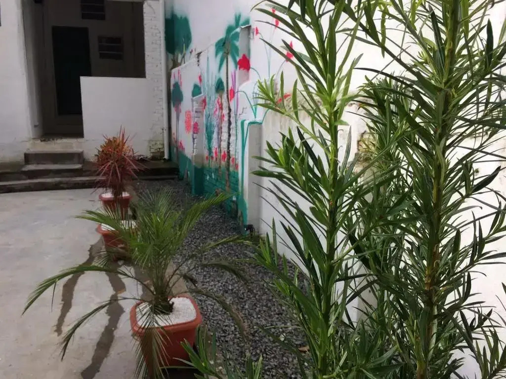 L & M Hostel