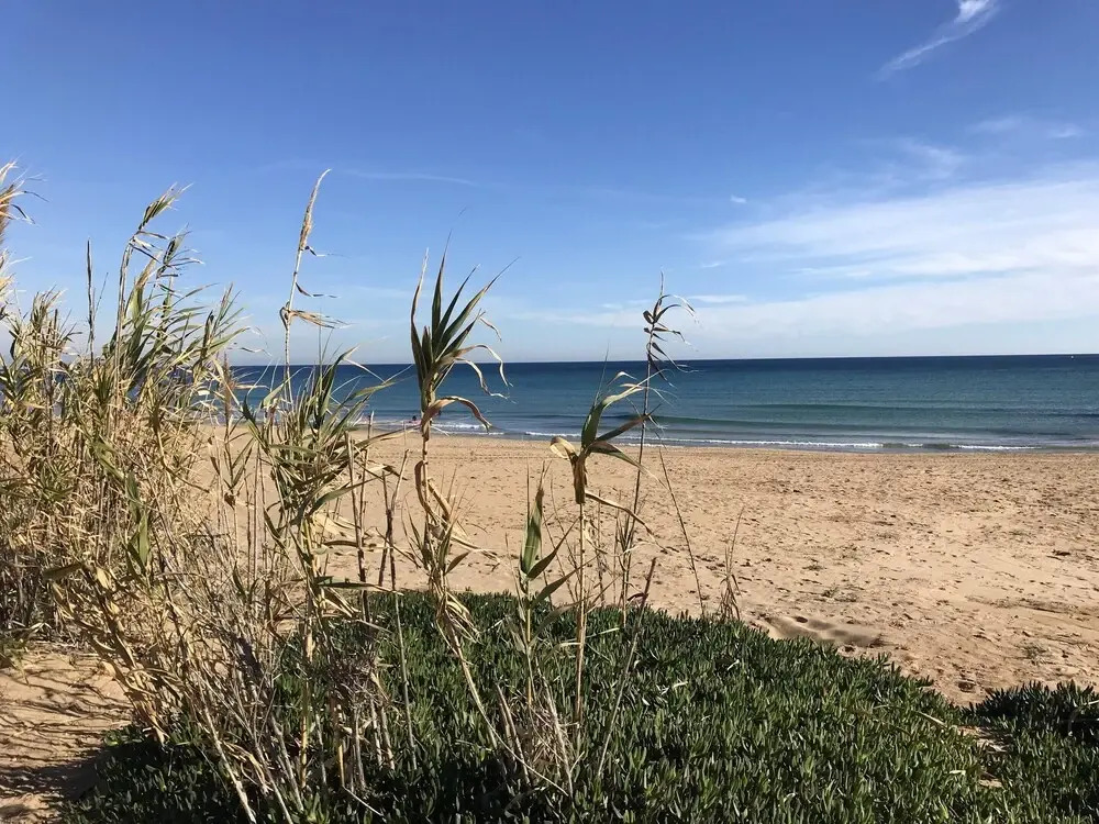 Apartment With 2 Bedrooms in Torrevieja, With Pool Access and Furnishe