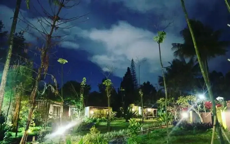 The Forest @cisarua