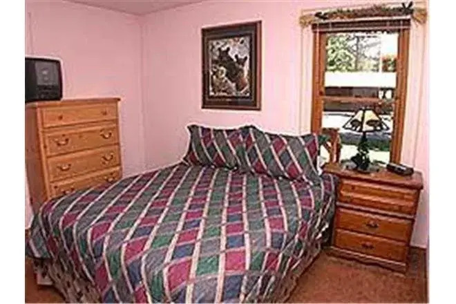 2921 Freel Peak Holiday Home