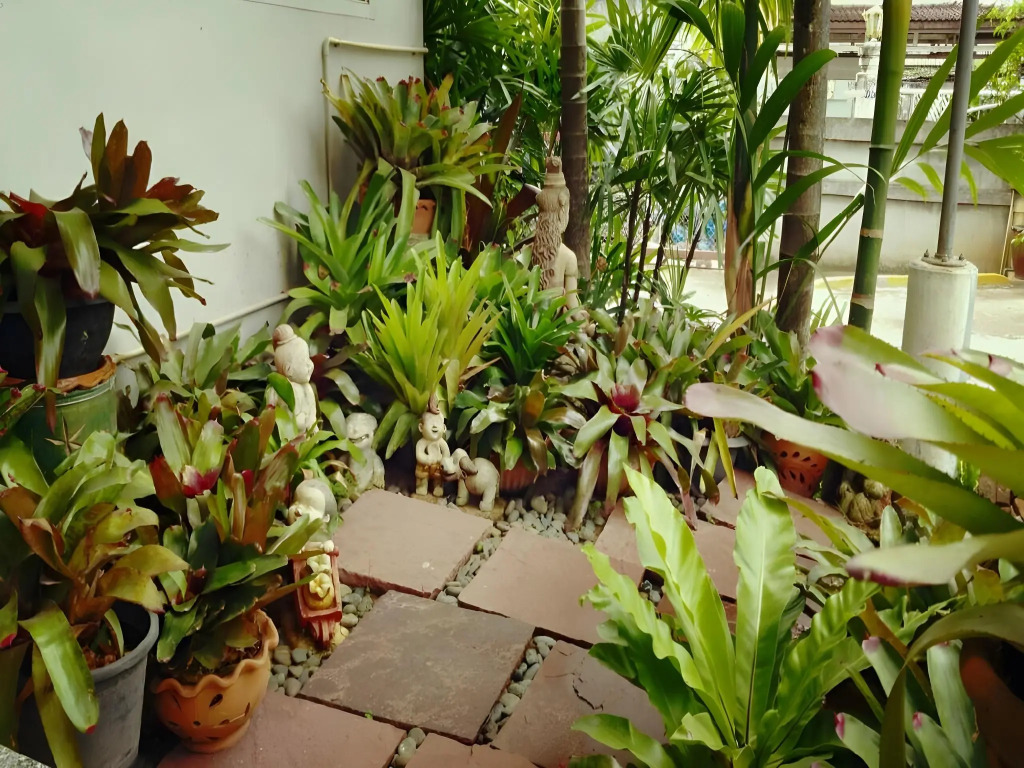 Loei Orchid Hotel